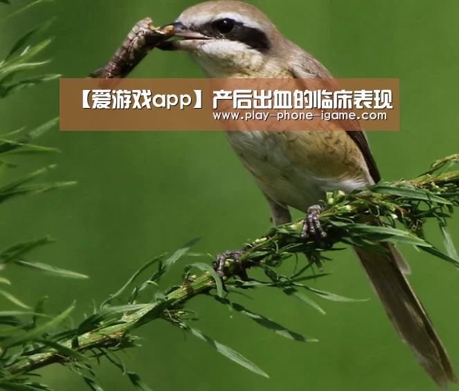 【爱游戏app】产后出血的临床表现(图4) 爱游戏官网