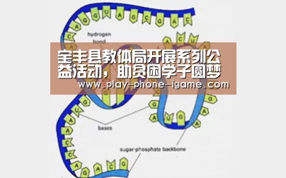 宝丰县教体局开展系列公益活动,助贫困学子圆梦-爱游戏官网(图3) 爱游戏