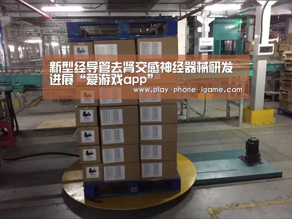 新型经导管去肾交感神经器械研发进展“爱游戏app”