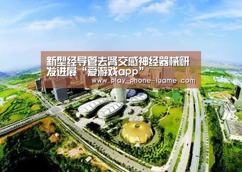 爱游戏app