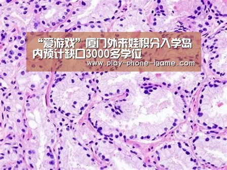 爱游戏官网