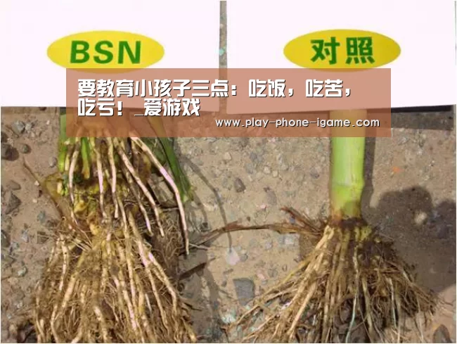 要教育小孩子三点：吃饭，吃苦，吃亏！_爱游戏